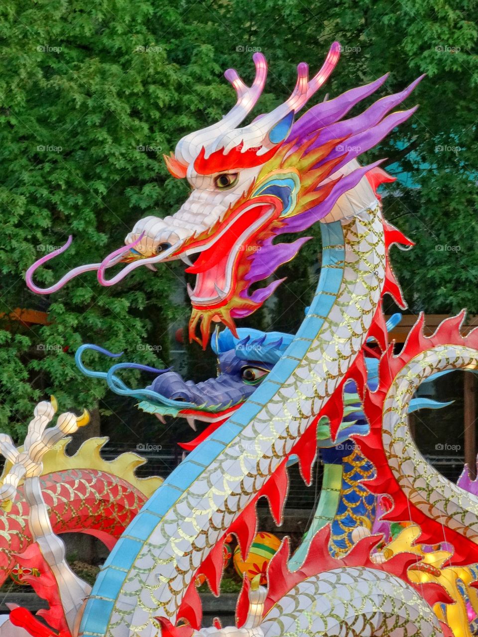 colorful chinese dragon