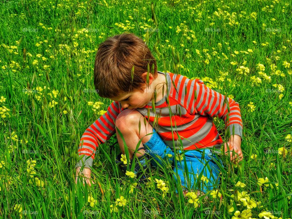 Child picking spring flowers in a field