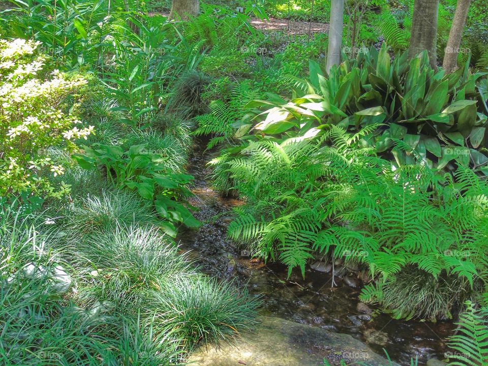 Garden stream