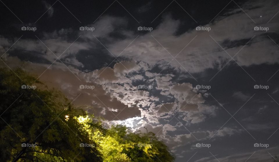 moon peeking through the clouds and trees