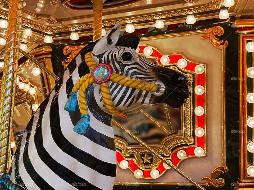 Carousel zebra