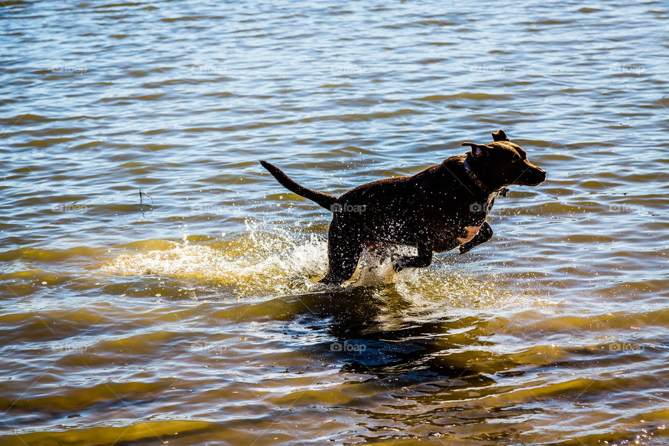 Oakley . Playing in the water