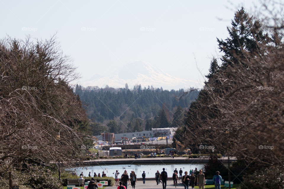 Mountain view from city