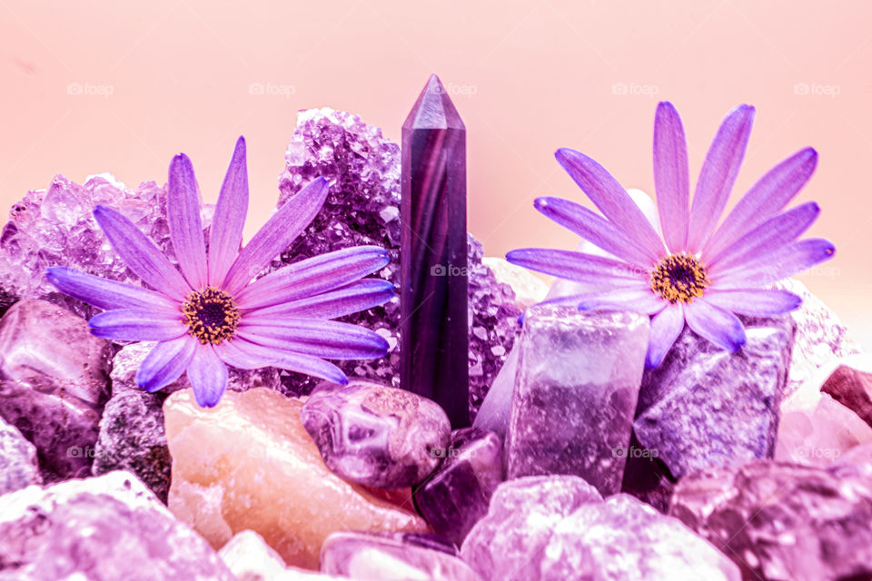 Purple Flowers with Crystals * Flores moradas con cristales.