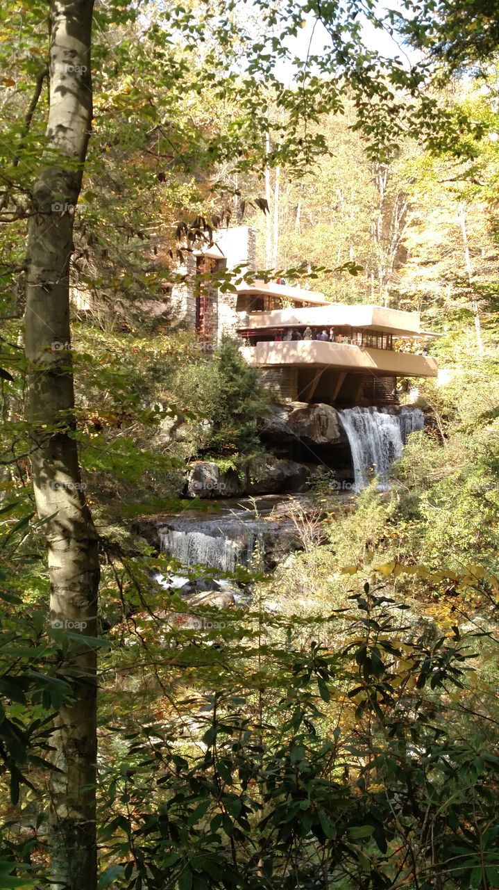 Fallingwater