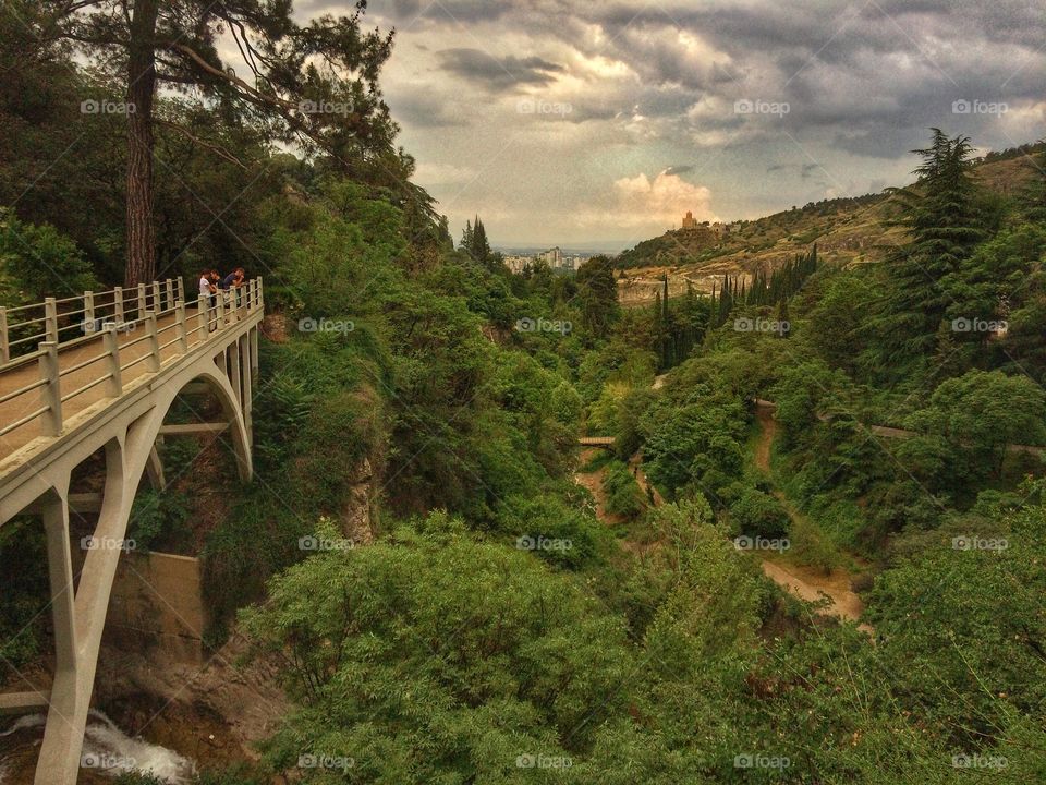 Botanical garden. Tbilisi. 