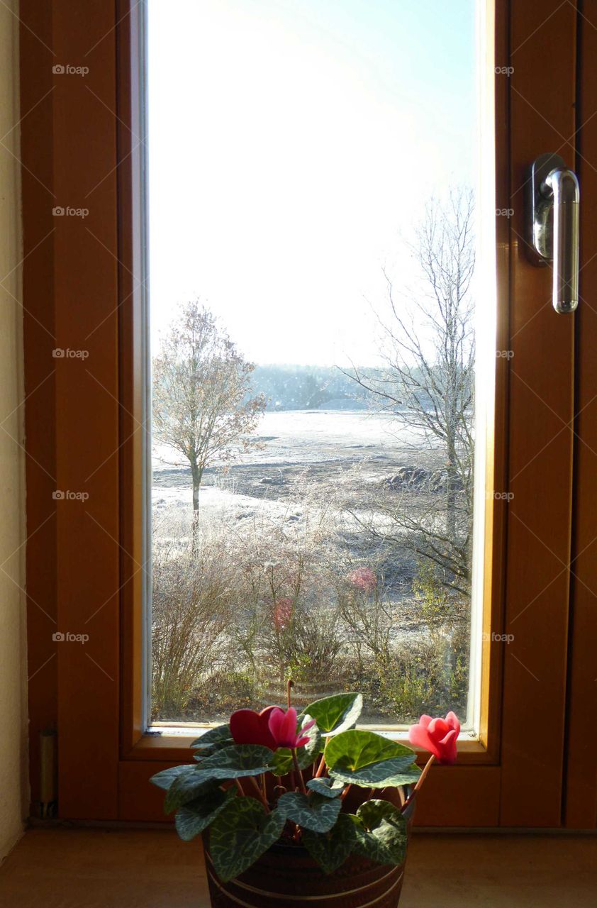 View out of window to a winterly landscape