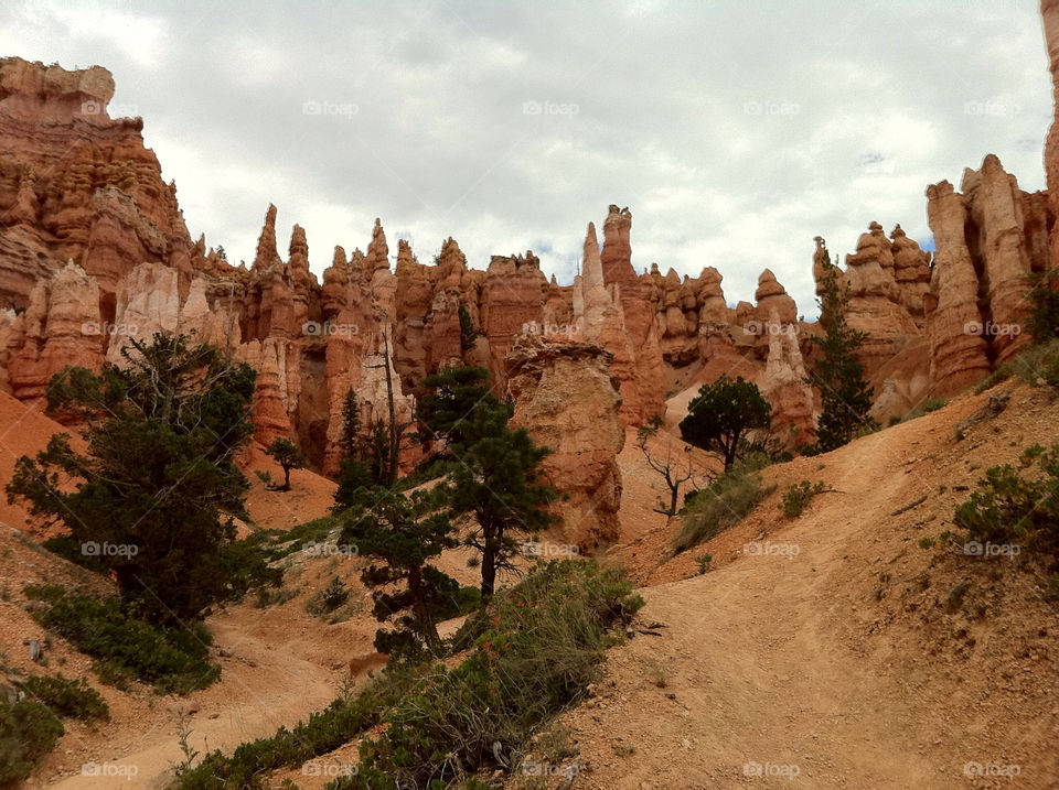 Bryce Canyon from the bottom