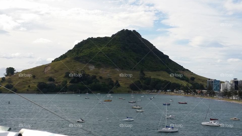 Mt Manganui