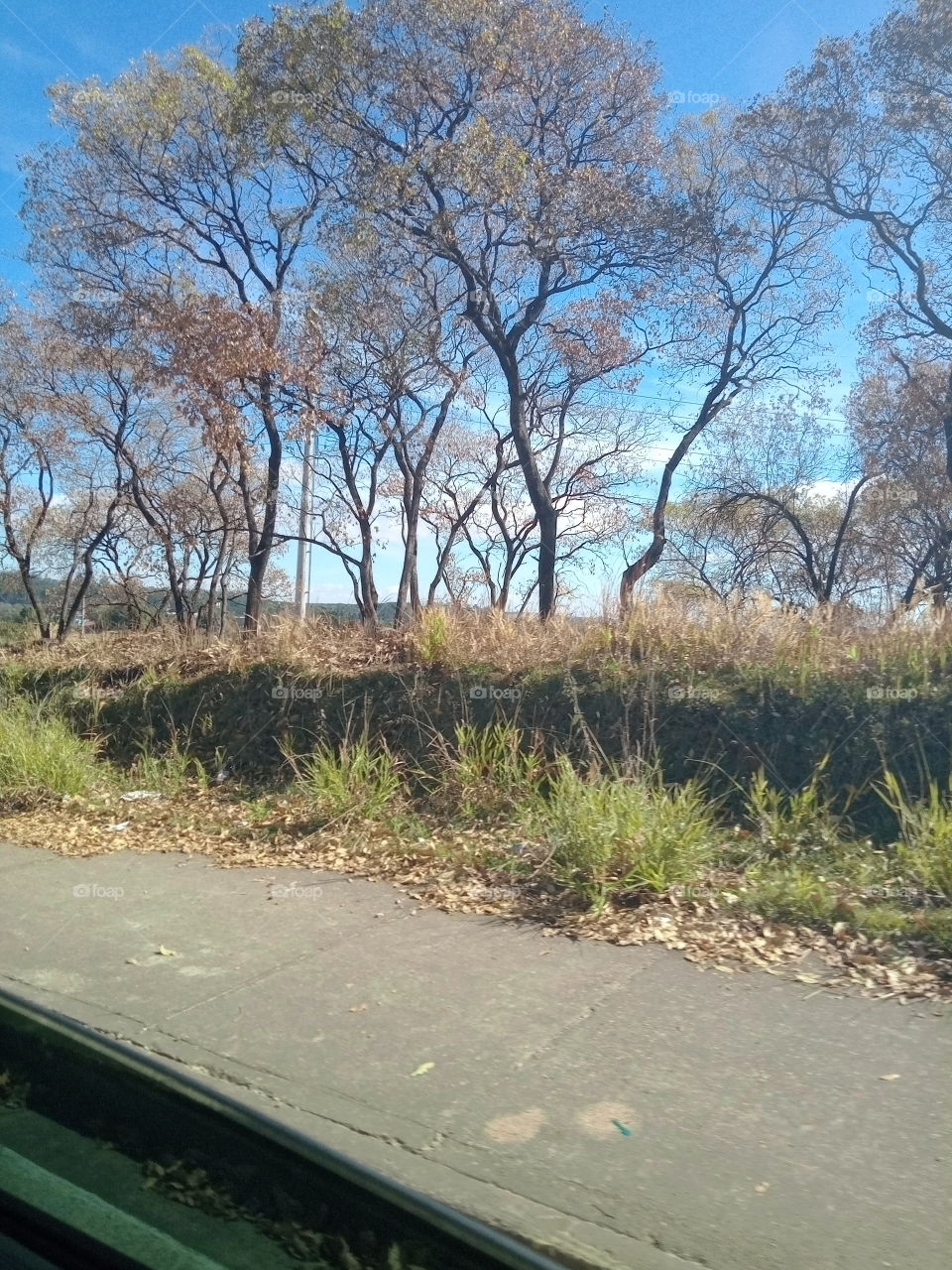 A Natureza e seus encantos