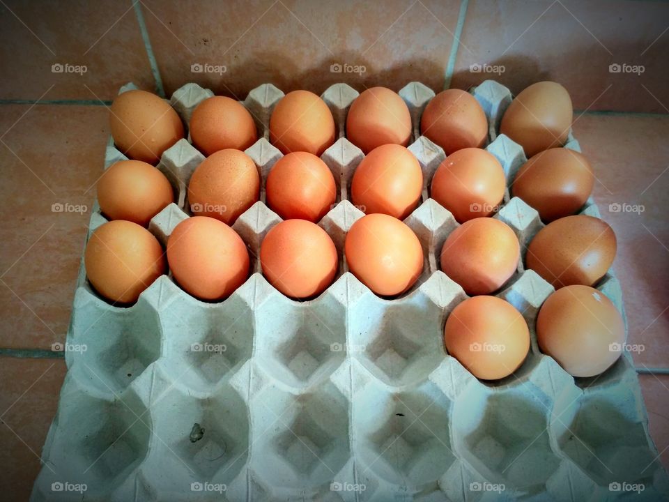 egg for breakfast , supper and dinner.