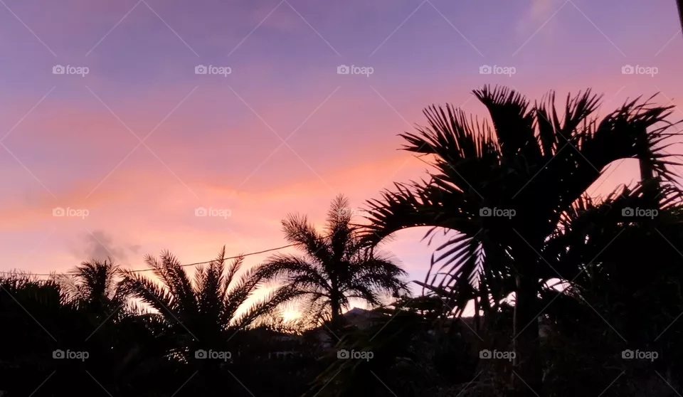 Sunset 