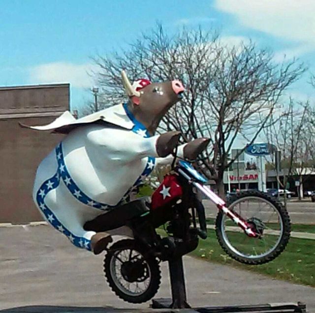 flying pig