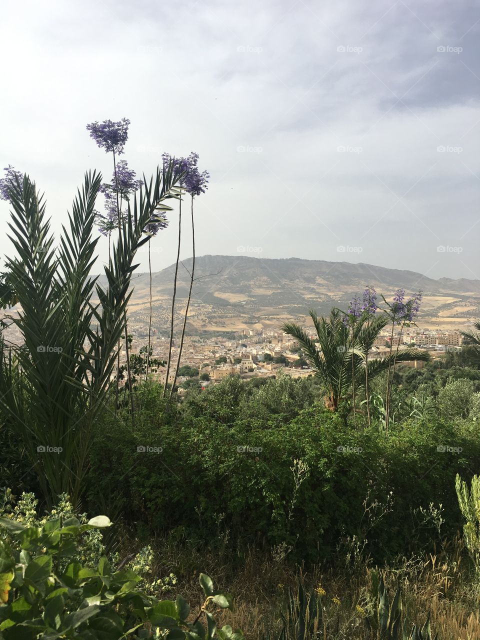 View of Fez from a beautiful sanctuary on the mountains overlooking the city. 