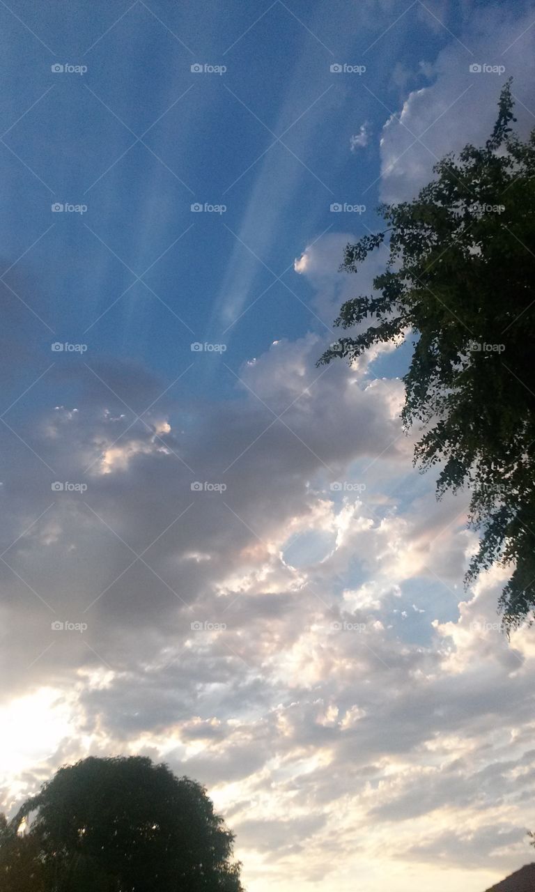 Rays from the Sun beam in this scene, Colorful clouds  that look 
Like Angels flying are what I see.
The colors of blue,dark and light 
Compliment the sky , pretty 
And bright.  And the tree with 
Greenery adds to this picture,
Standing up straight and upright.
Oh what beauty there is to 
See day or at night.  God shows
His Artistic Art, and oh what
a Glorious for sure site. We 
Humans are blessed, for God 
Gives us all , Totally His Best.