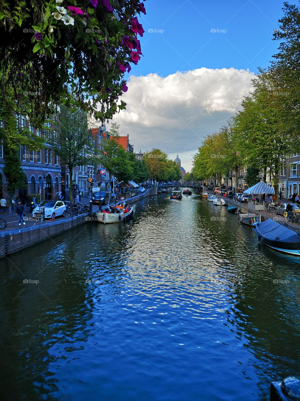Amsterdam canal flowers