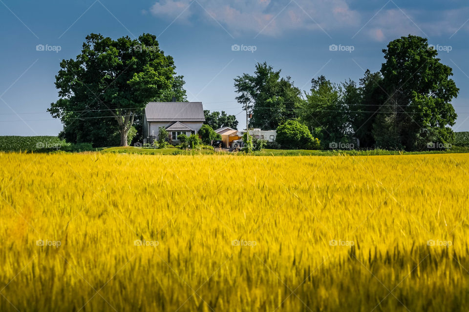 Farm house