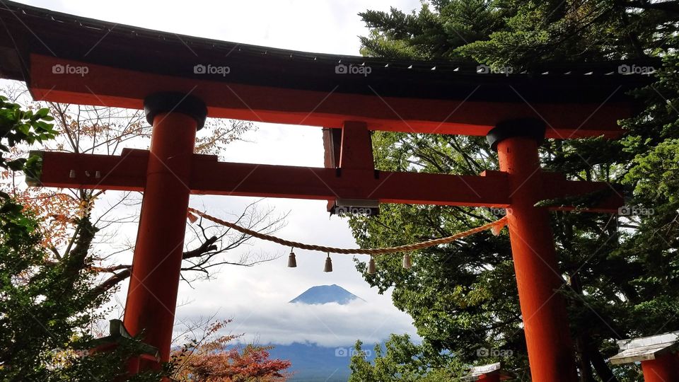 Mount Fuji in the fall