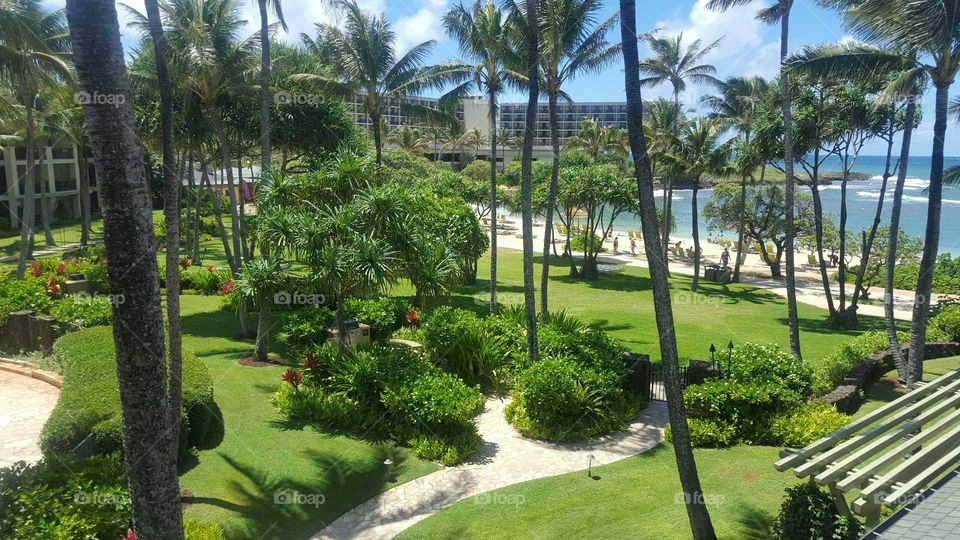 elevated view of tropical resort garden