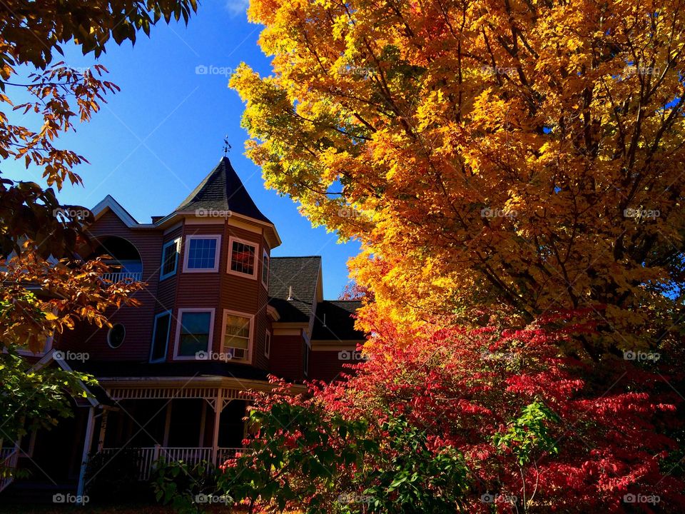 Bar Harbor, ME