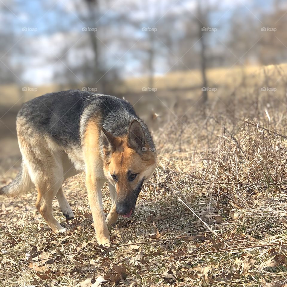 Early Spring Adventures 