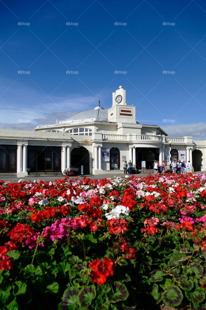 No Person, Architecture, Building, Flower, Travel