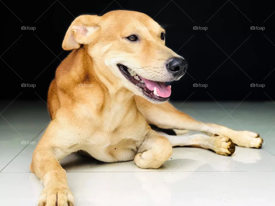 Cute