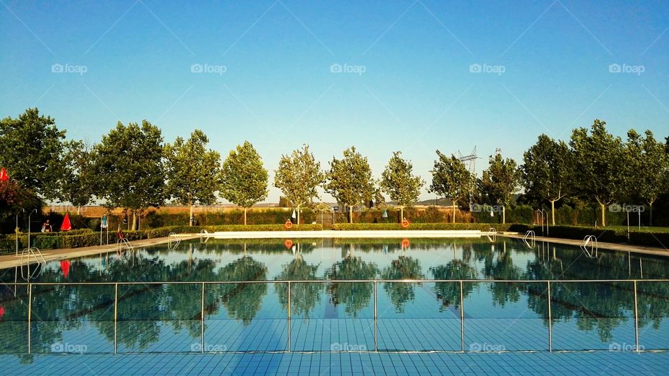 reflection of trees in the swimming pool un a sunny day