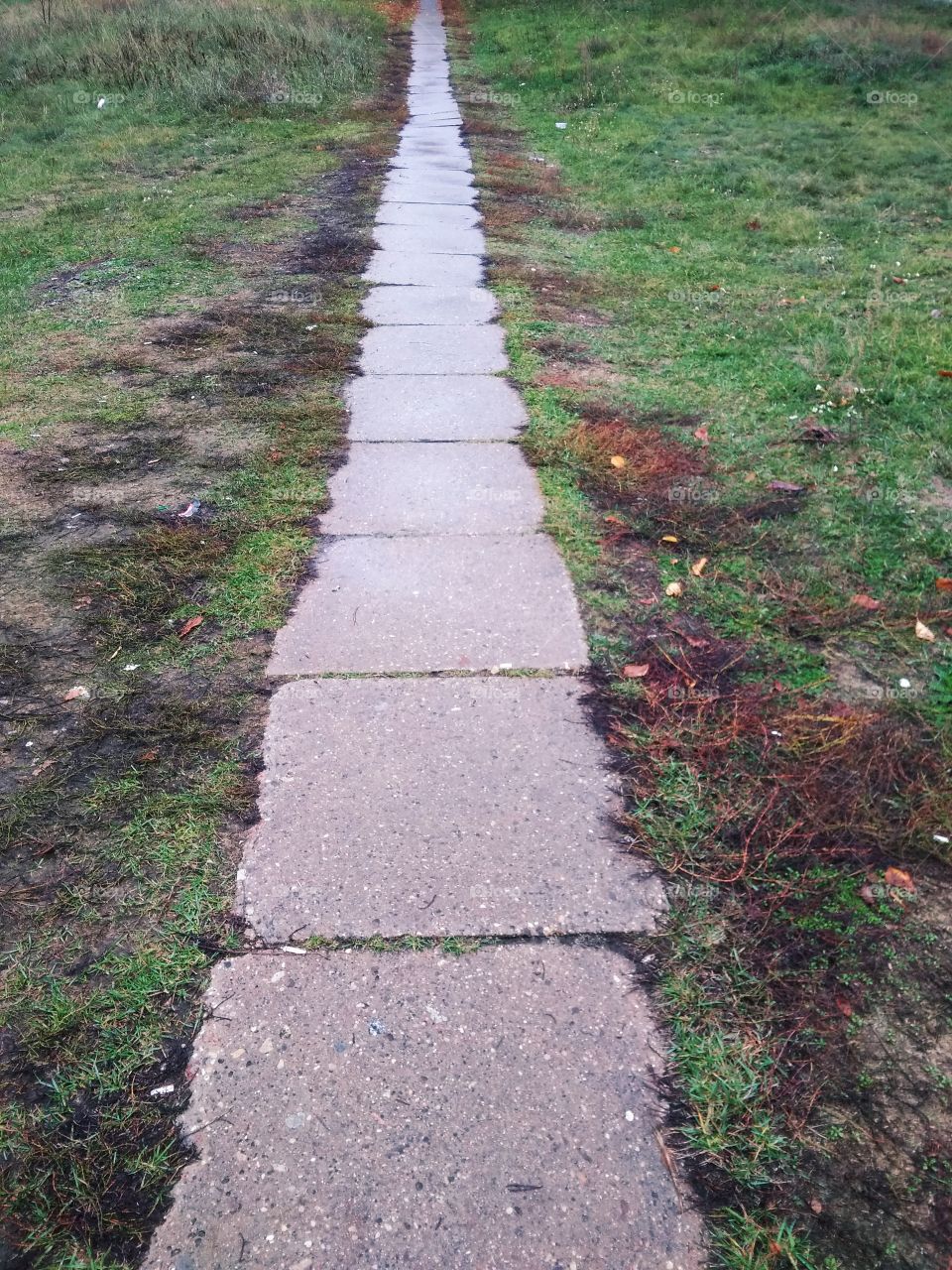 Old Concrete Tile Road Track On
 The Grass Field