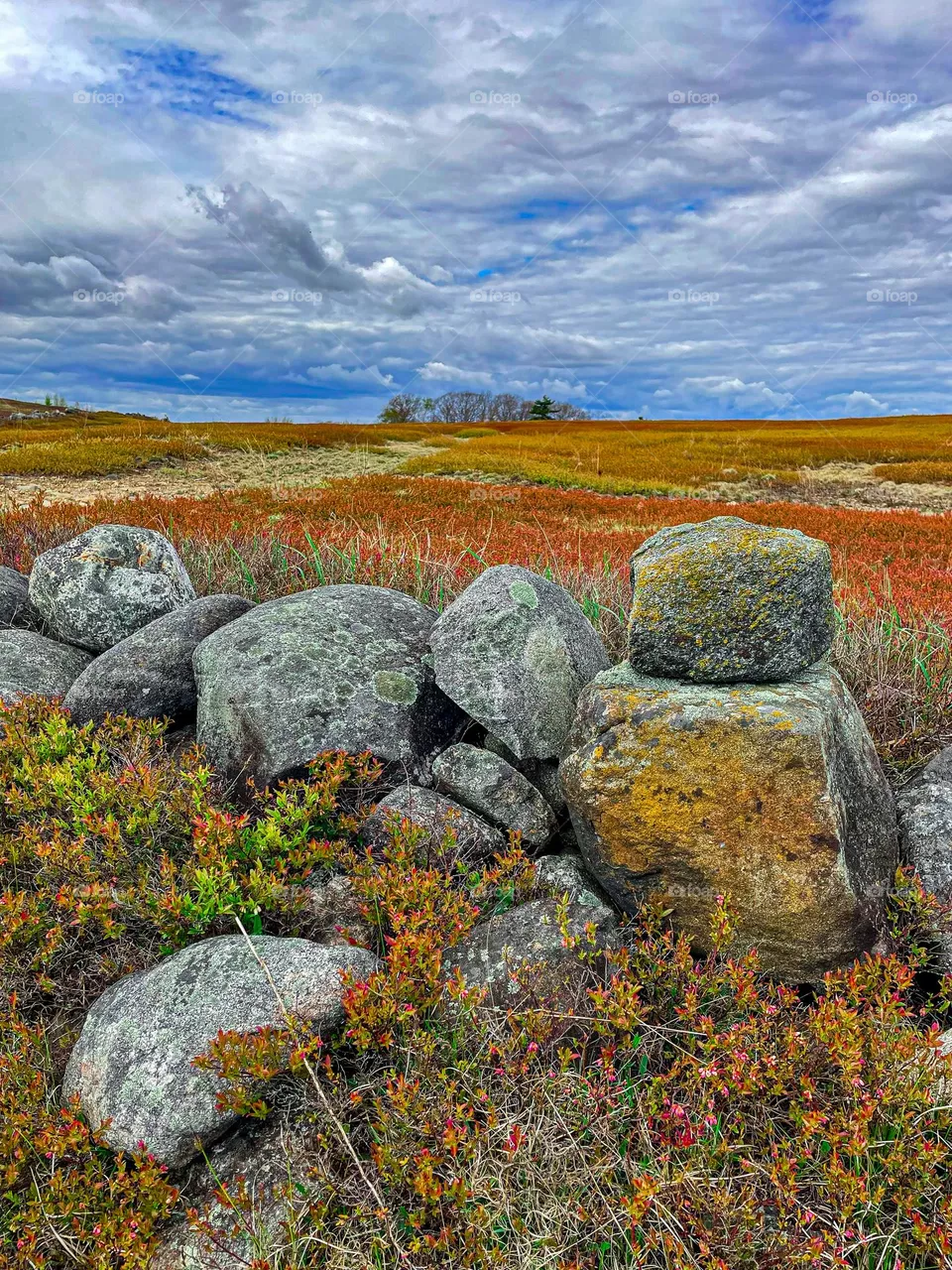 “The Barrens.”  Cloudy skies hang over the rusty colors of blueberry fields in the state of Maine.