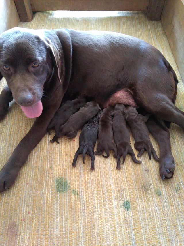 Birth