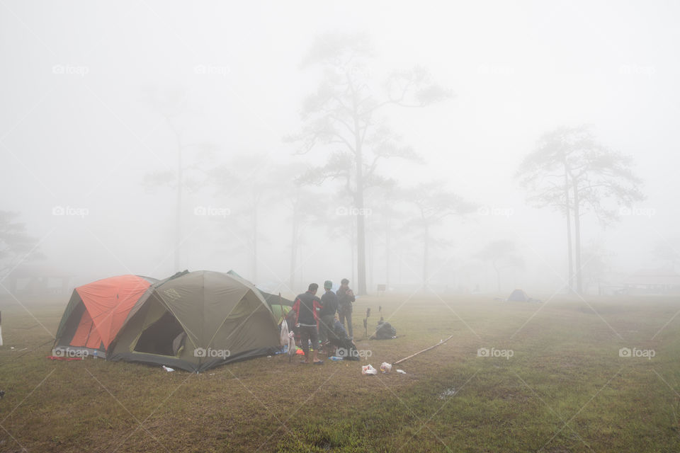 Fog in the forest with tent of the tourist in Phu Kradueng national park Loei Thailand 