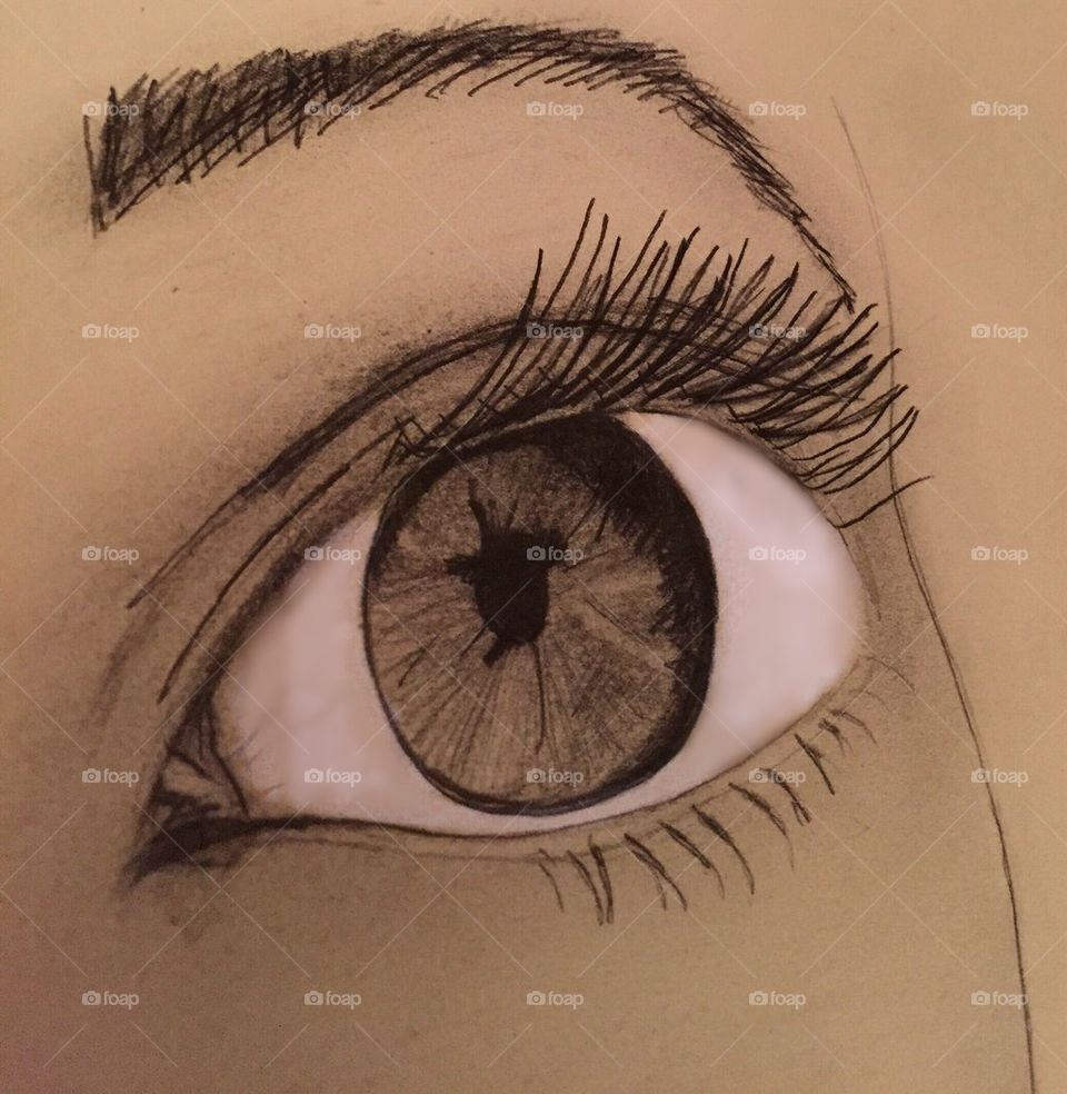 First eye study