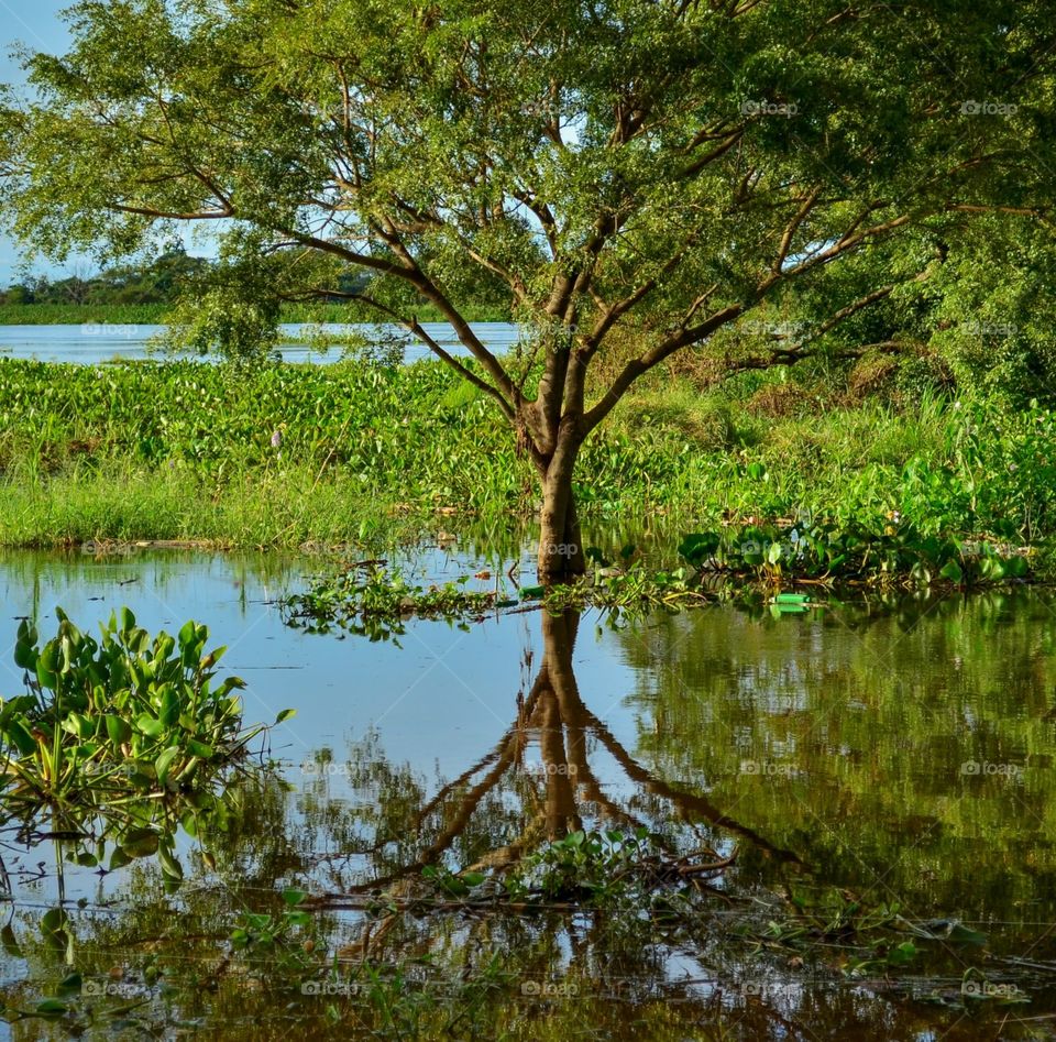 reflection