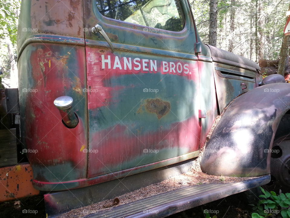 Hansen Brothers