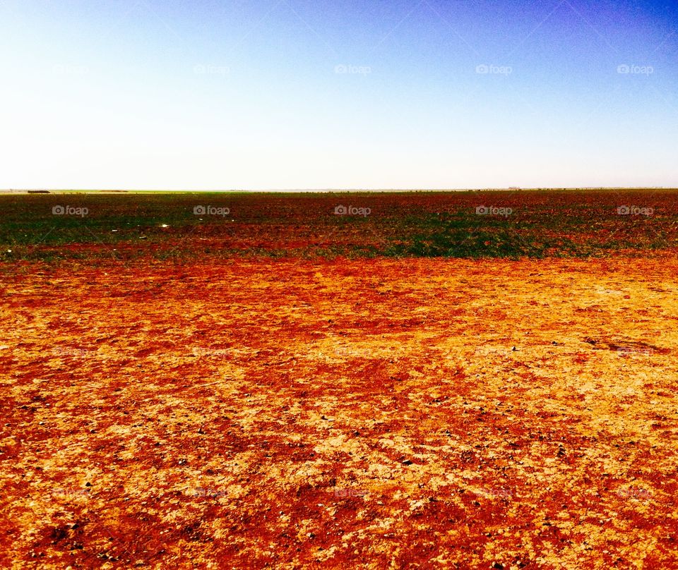 West Texas Landscape