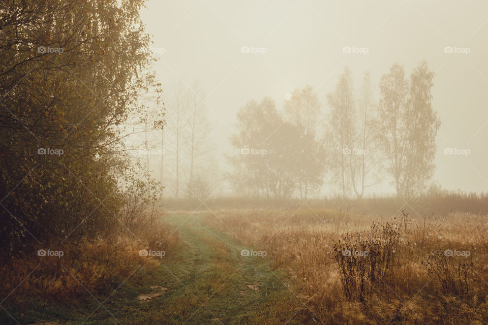 Autumn misty landscape at early morning 