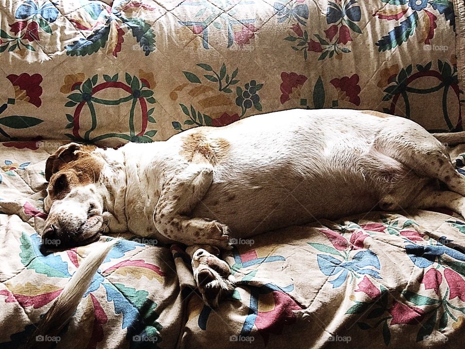 My little William napping