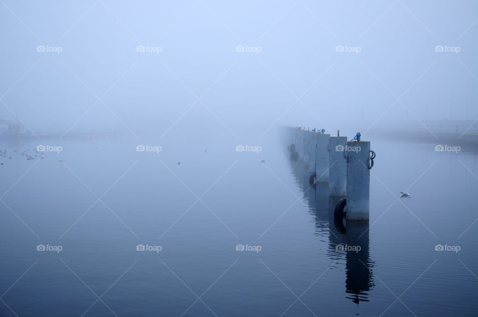 foggy morning in a small port of Gdynia, Poland