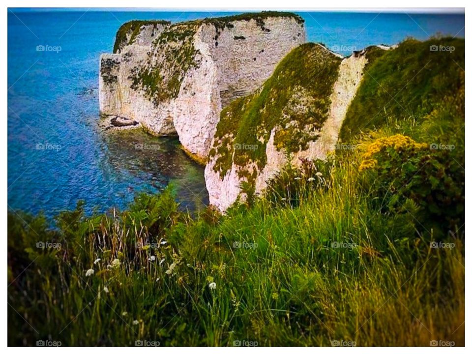Cliff Top Dorset