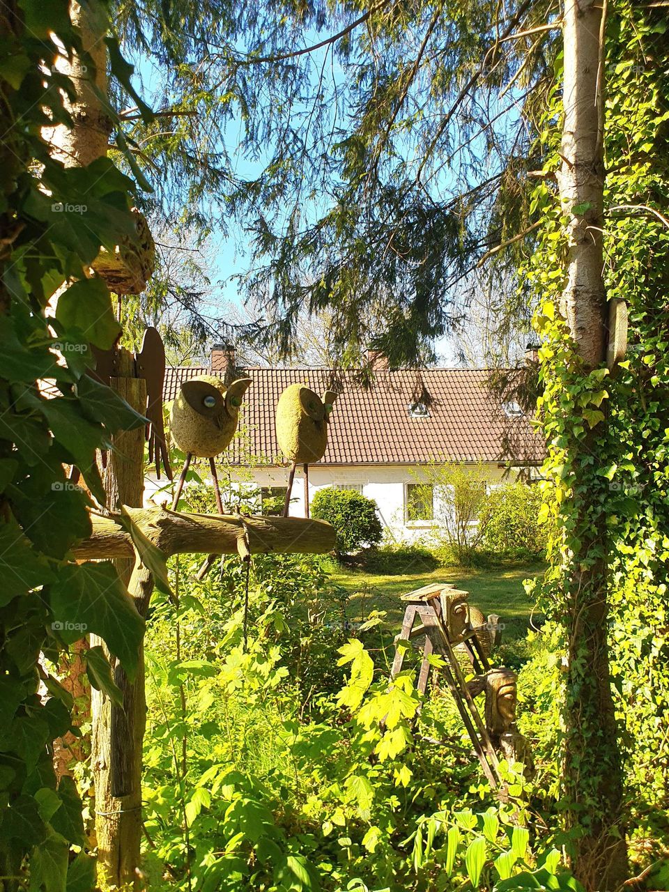 wild ivy grows on the trees in an idyllic City atmosphere