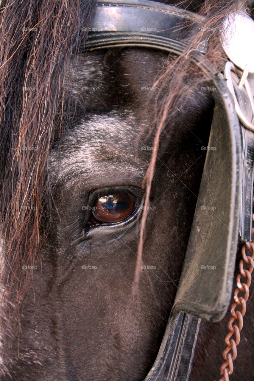 Beautiful eye