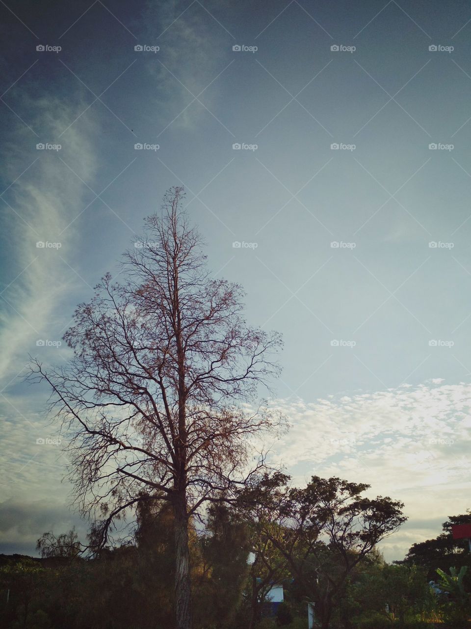 Beautiful fall season