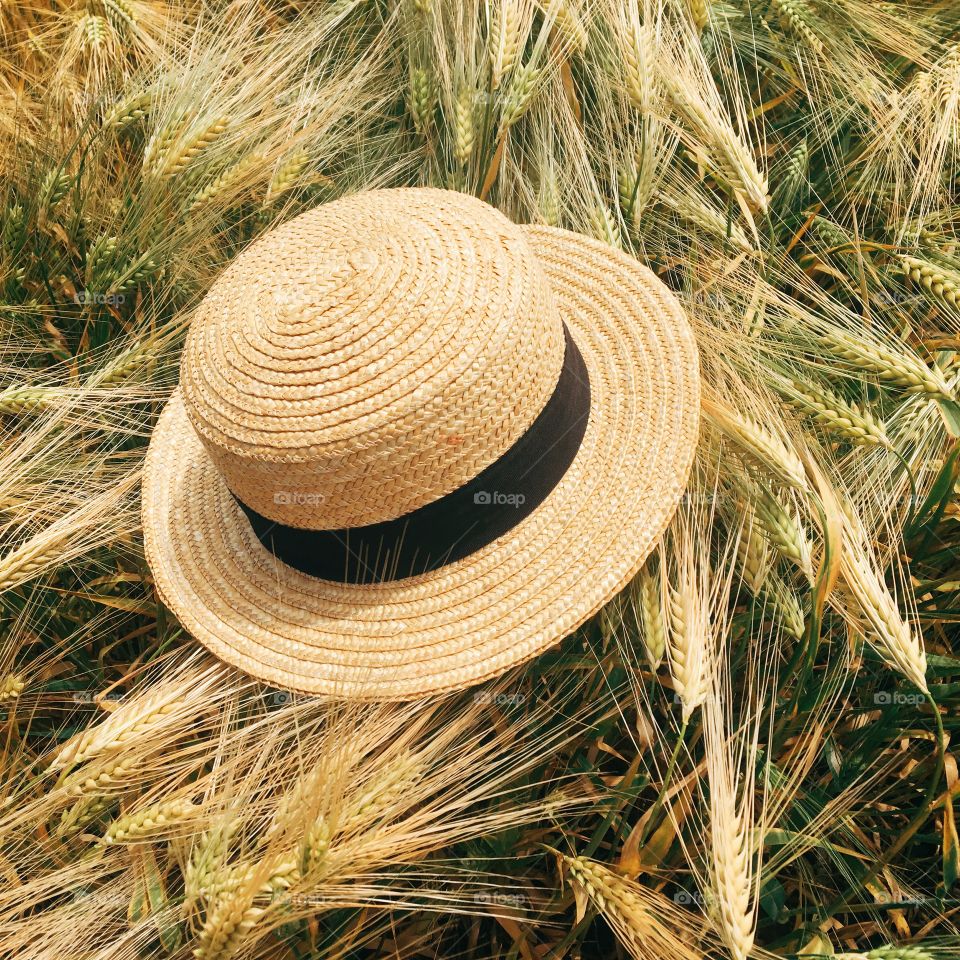 straw hat in the field