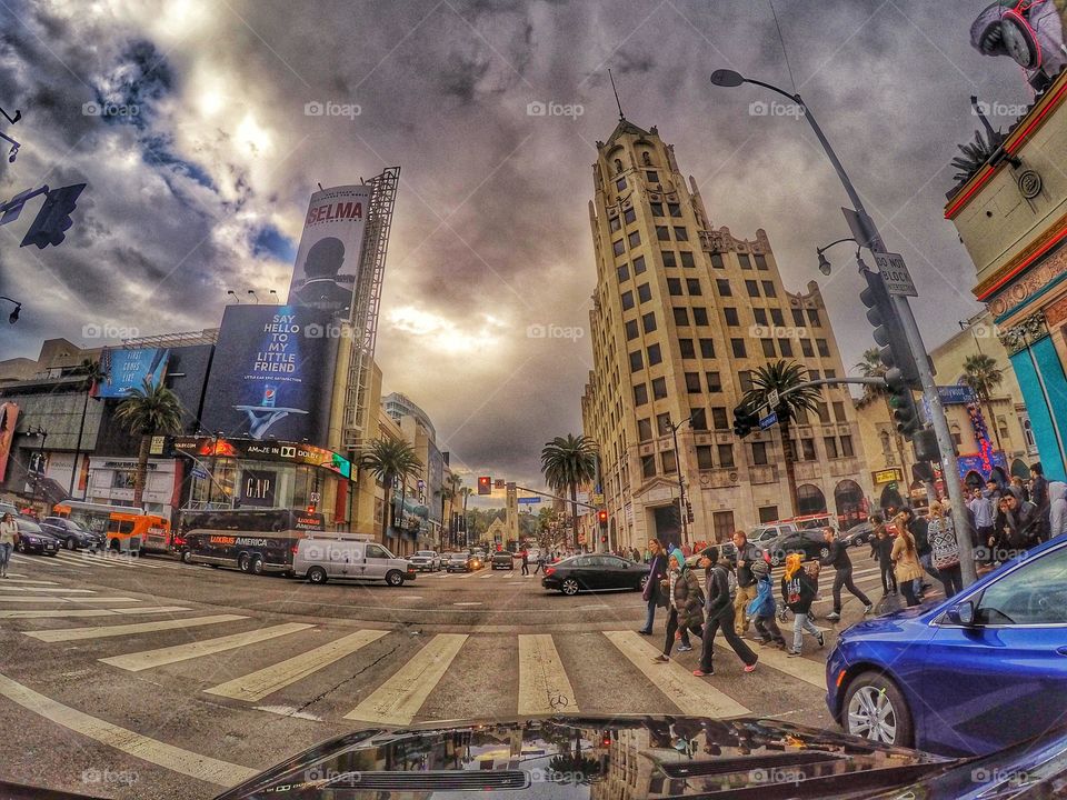 Hollywood Blvd