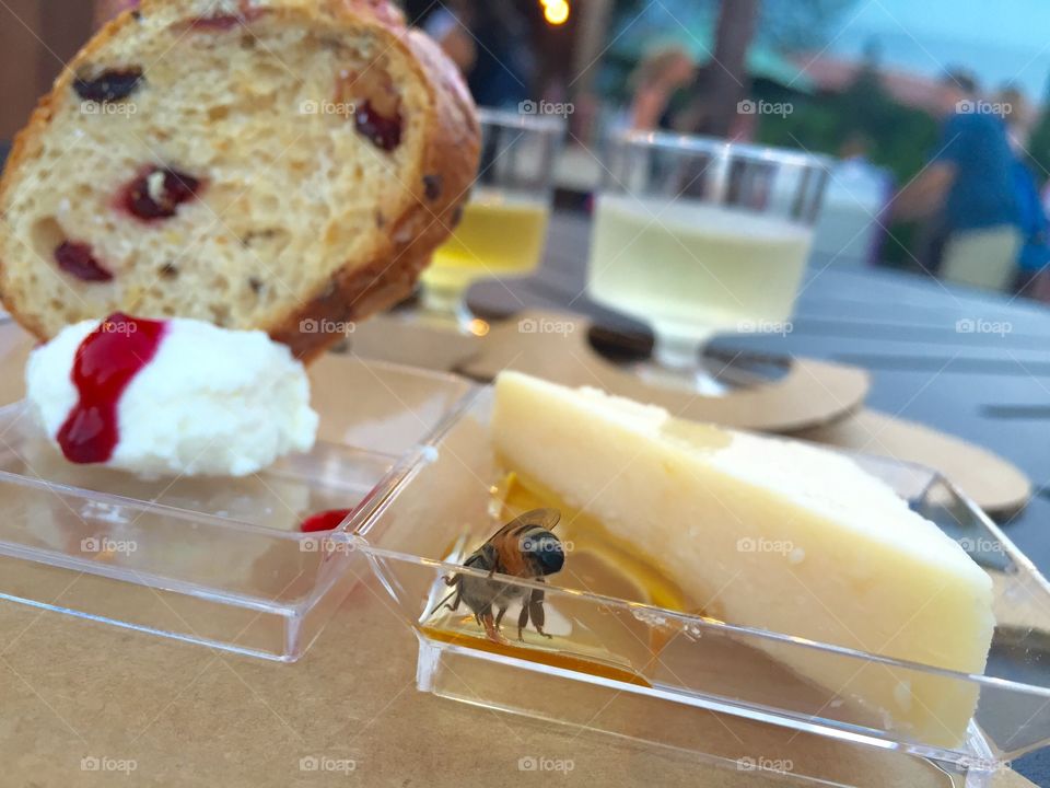 Bee in the honey