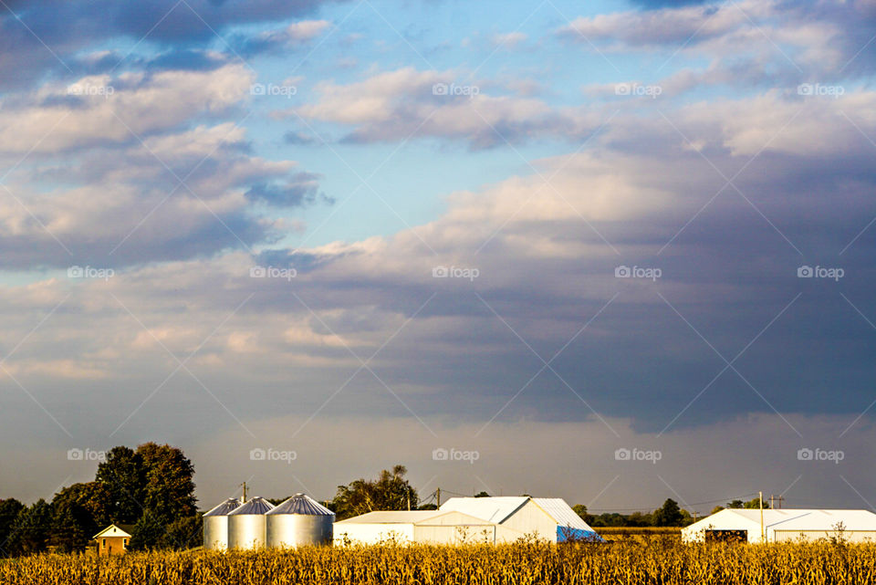 Down on the farm
