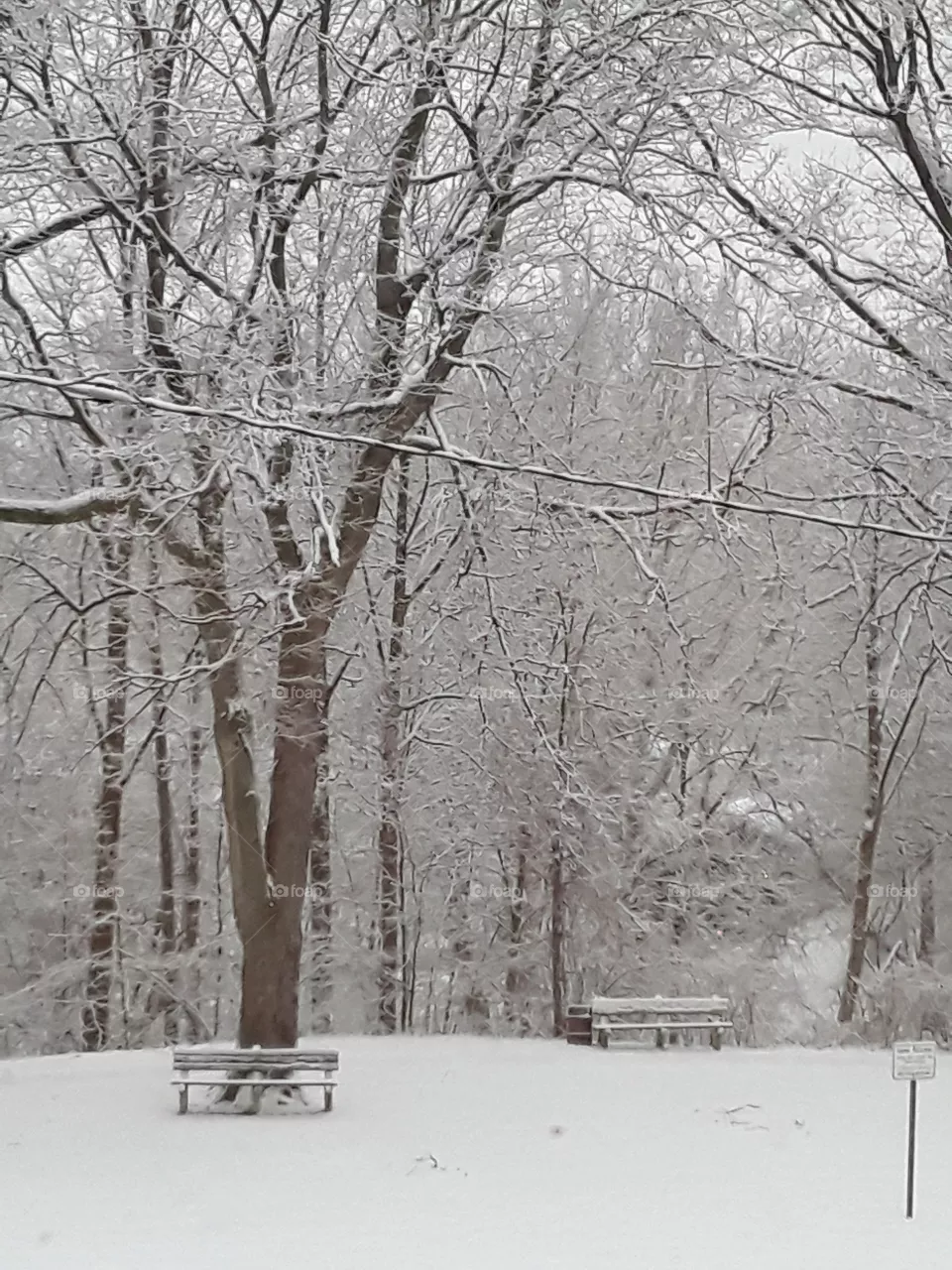 Snow day on Park
