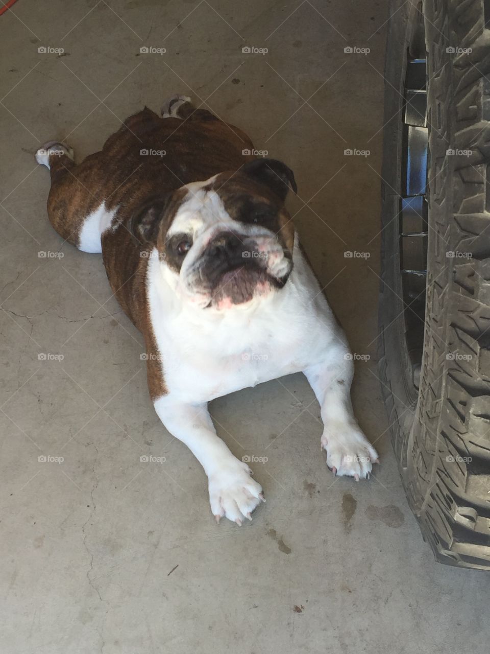 Helping with the jeep