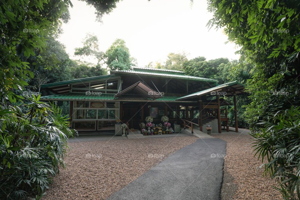 Temple in the forest 